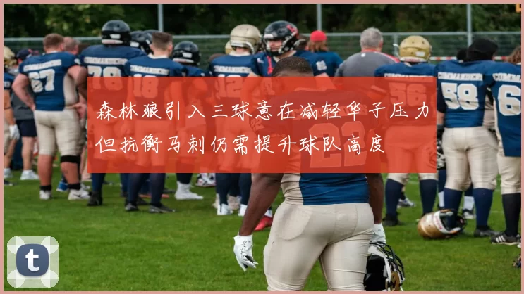 森林狼引入三球意在减轻华子压力但抗衡马刺仍需提升球队高度
